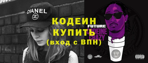 молекула духа Костерёво