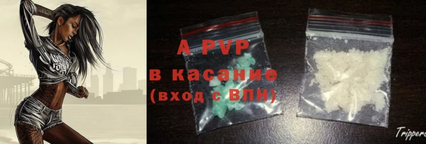 молекула духа Костерёво