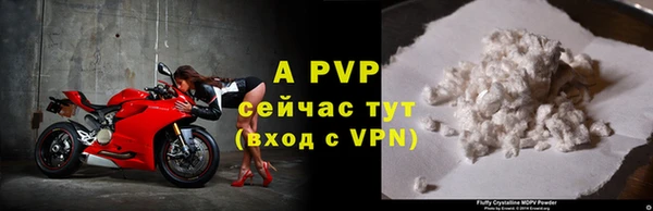 тгк Корсаков