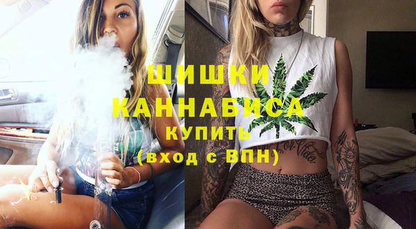 молекула духа Костерёво