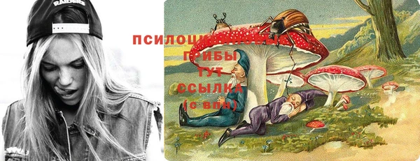 тгк Корсаков
