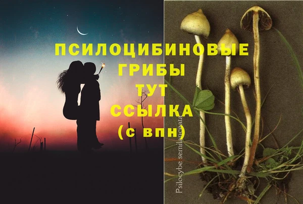 тгк Корсаков
