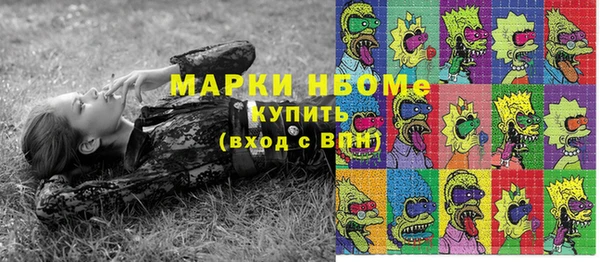 молекула духа Костерёво