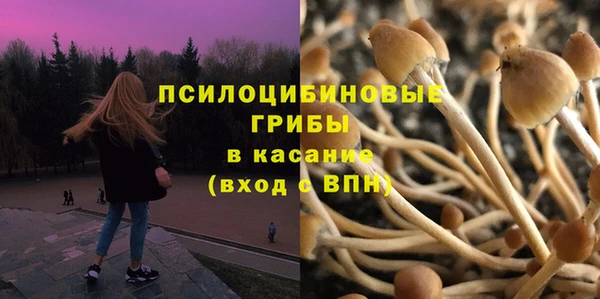 молекула духа Костерёво